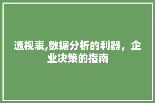 透视表,数据分析的利器，企业决策的指南