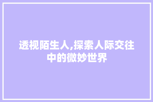 透视陌生人,探索人际交往中的微妙世界