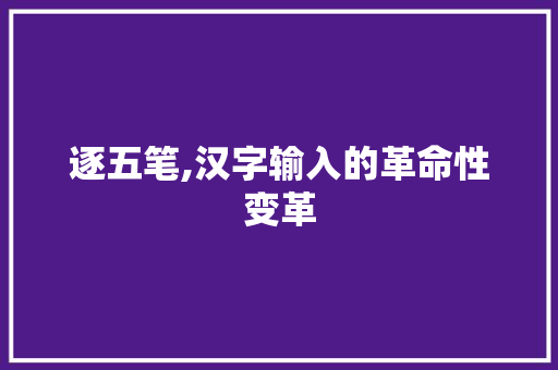 逐五笔,汉字输入的革命性变革