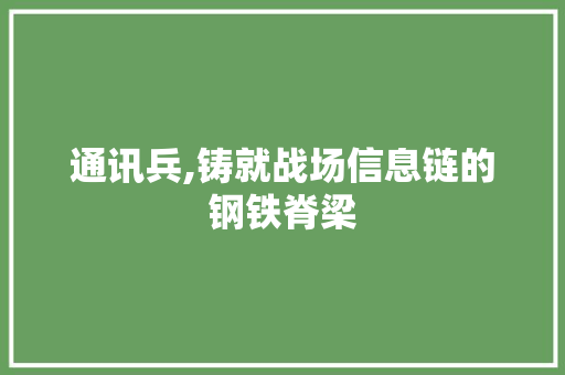 通讯兵,铸就战场信息链的钢铁脊梁 网络技术