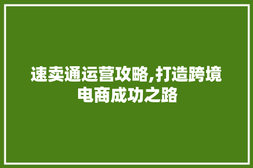 速卖通运营攻略,打造跨境电商成功之路