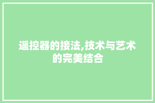 遥控器的接法,技术与艺术的完美结合