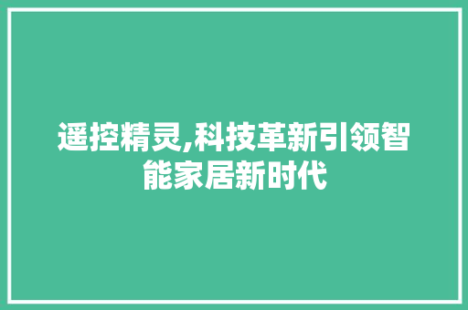 遥控精灵,科技革新引领智能家居新时代