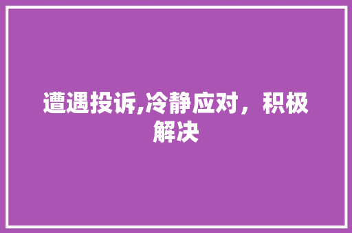 遭遇投诉,冷静应对，积极解决
