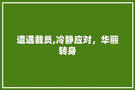 遭遇裁员,冷静应对，华丽转身