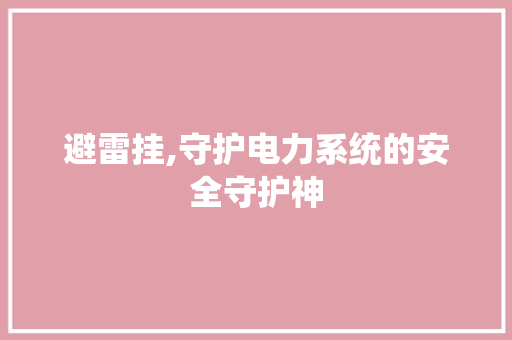 避雷挂,守护电力系统的安全守护神