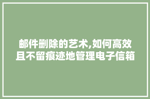 邮件删除的艺术,如何高效且不留痕迹地管理电子信箱