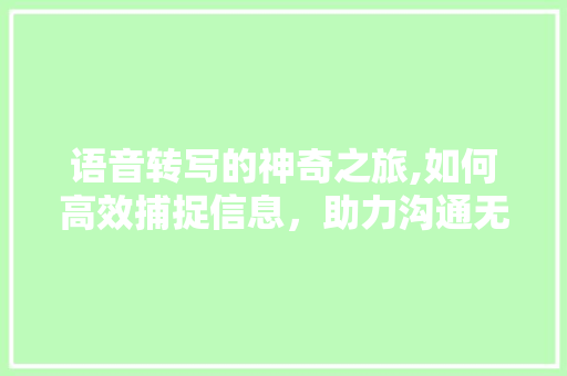 语音转写的神奇之旅,如何高效捕捉信息，助力沟通无障碍 电脑配置