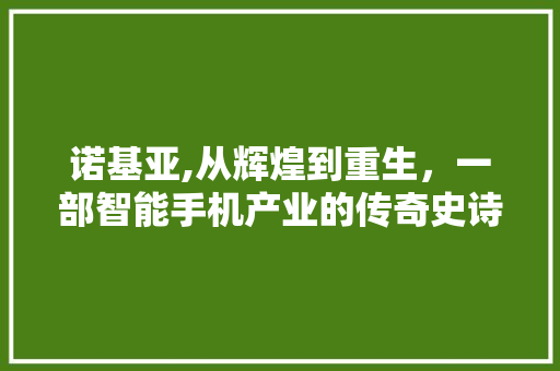诺基亚,从辉煌到重生,一部智能手机产业的传奇史诗 编程语言 诺基亚,从辉煌到重生,一部智能手机产业的传奇史诗 编程语言