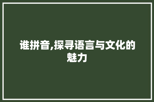 谁拼音,探寻语言与文化的魅力 电脑配置
