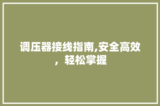 调压器接线指南,安全高效，轻松掌握 网络技术