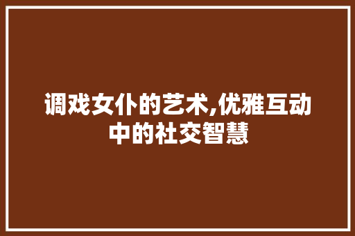 调戏女仆的艺术,优雅互动中的社交智慧 编程语言