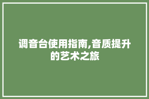 调音台使用指南,音质提升的艺术之旅 编程语言