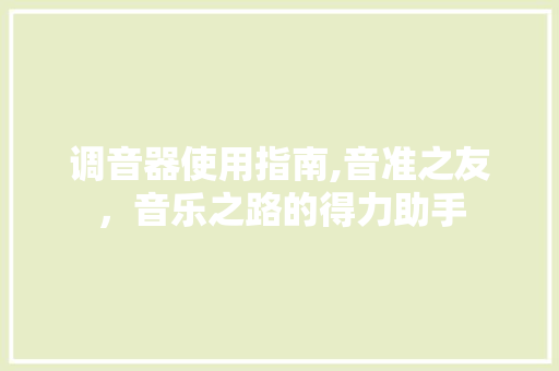 调音器使用指南,音准之友，音乐之路的得力助手 电脑故障维修