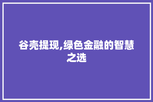 谷壳提现,绿色金融的智慧之选 电脑基础