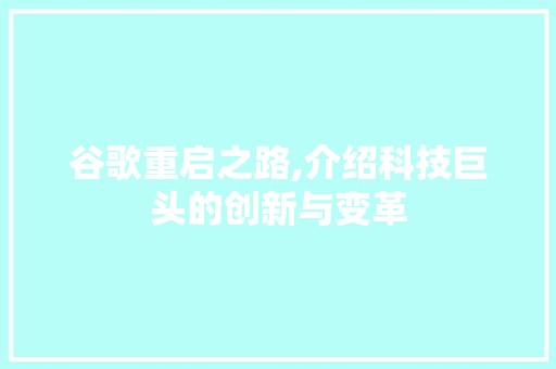 谷歌重启之路,介绍科技巨头的创新与变革
