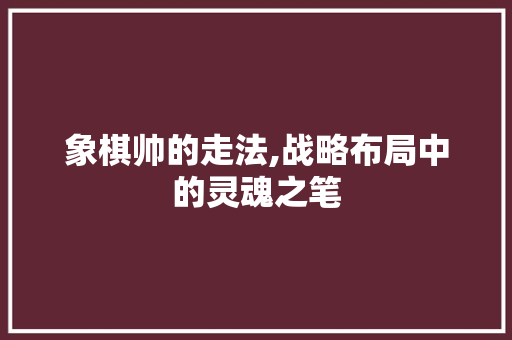 象棋帅的走法,战略布局中的灵魂之笔 操作系统