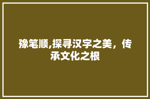 豫笔顺,探寻汉字之美，传承文化之根