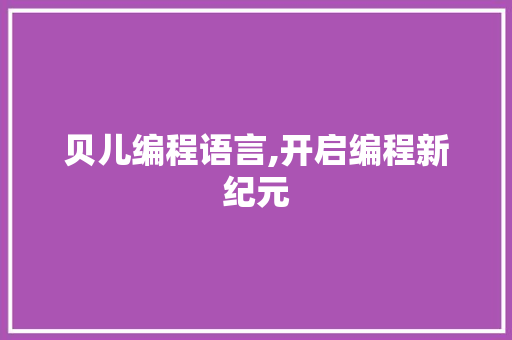 贝儿编程语言,开启编程新纪元 网络技术