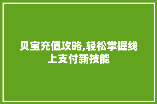 贝宝充值攻略,轻松掌握线上支付新技能