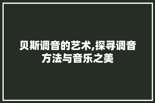 贝斯调音的艺术,探寻调音方法与音乐之美