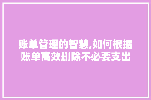 账单管理的智慧,如何根据账单高效删除不必要支出