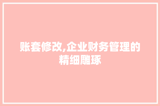 账套修改,企业财务管理的精细雕琢