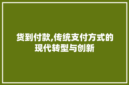 货到付款,传统支付方式的现代转型与创新
