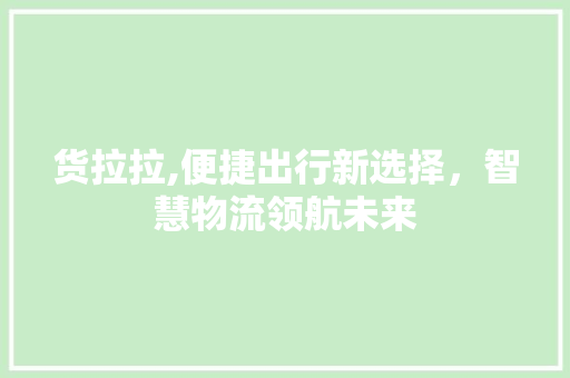 货拉拉,便捷出行新选择，智慧物流领航未来