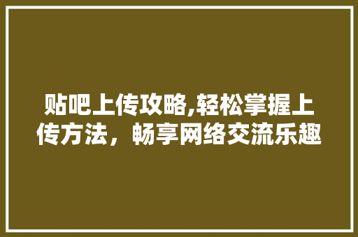 贴吧上传攻略,轻松掌握上传方法，畅享网络交流乐趣