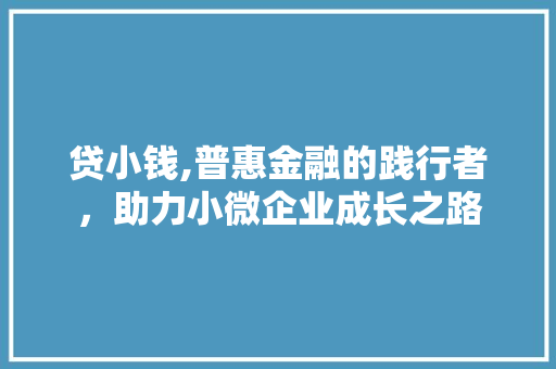 贷小钱,普惠金融的践行者,助力小微企业成长之路 贷小钱,普惠金融的践行者,助力小微企业成长之路
