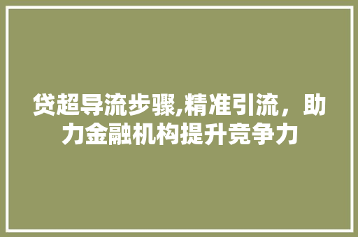 贷超导流步骤,精准引流,助力金融机构提升竞争力 贷超导流步骤,精准引流,助力金融机构提升竞争力