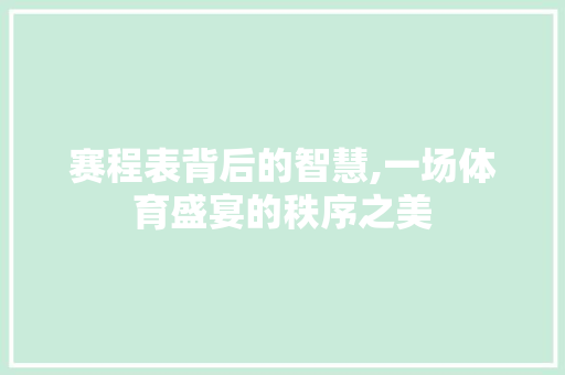 赛程表背后的智慧,一场体育盛宴的秩序之美