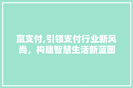 赢支付,引领支付行业新风尚，构建智慧生活新蓝图