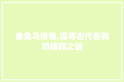 赤兔马传奇,探寻古代名驹的捕捉之谜