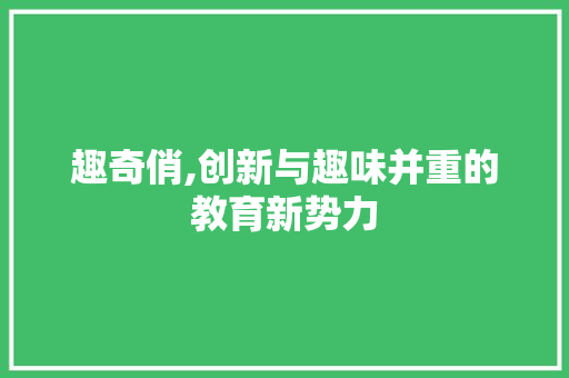 趣奇俏,创新与趣味并重的教育新势力