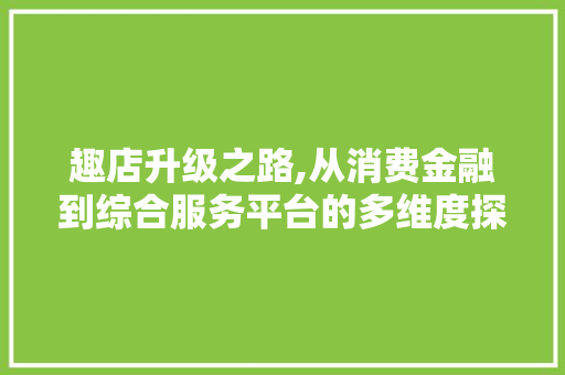 趣店升级之路,从消费金融到综合服务平台的多维度探索