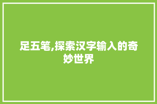 足五笔,探索汉字输入的奇妙世界