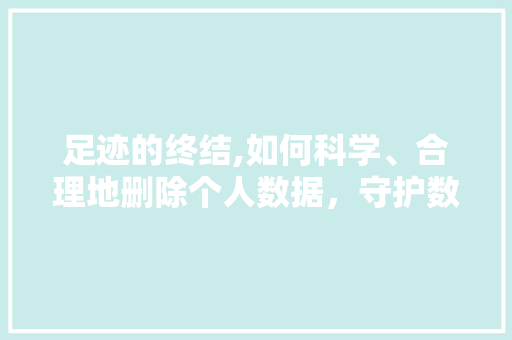 足迹的终结,如何科学、合理地删除个人数据，守护数字隐私