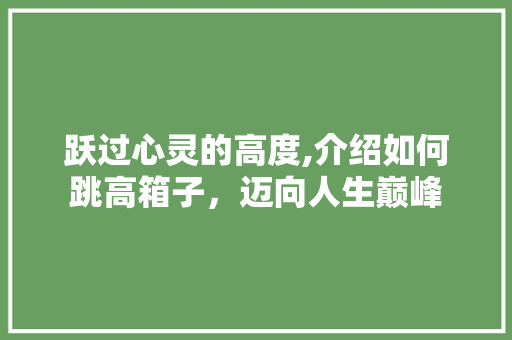 跃过心灵的高度,介绍如何跳高箱子，迈向人生巅峰