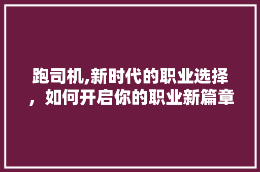 跑司机,新时代的职业选择，如何开启你的职业新篇章