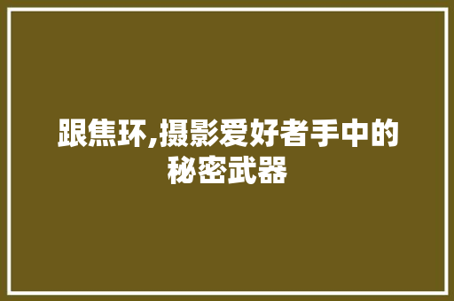 跟焦环,摄影爱好者手中的秘密武器