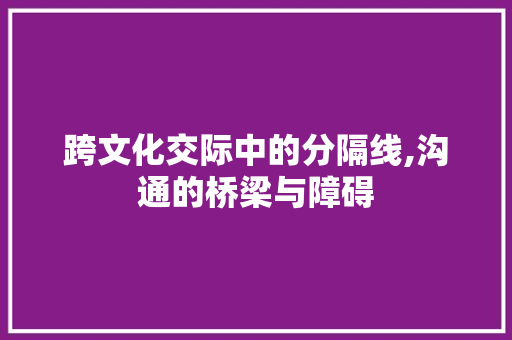 跨文化交际中的分隔线,沟通的桥梁与障碍