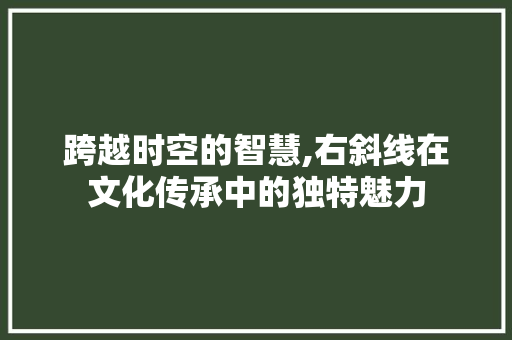 跨越时空的智慧,右斜线在文化传承中的独特魅力