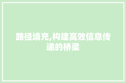 路径填充,构建高效信息传递的桥梁
