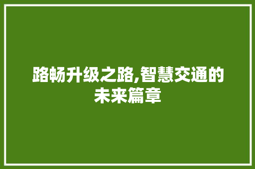 路畅升级之路,智慧交通的未来篇章