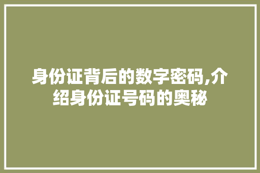 身份证背后的数字密码,介绍身份证号码的奥秘