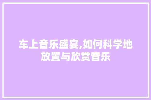车上音乐盛宴,如何科学地放置与欣赏音乐 车上音乐盛宴,如何科学地放置与欣赏音乐