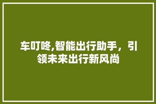 车叮咚,智能出行助手,引领未来出行新风尚 车叮咚,智能出行助手,引领未来出行新风尚