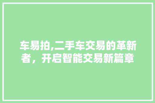 车易拍,二手车交易的革新者，开启智能交易新篇章 电脑配置